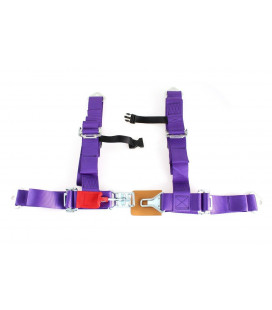 Racing seat belts 4p 2" Purple - DTM
