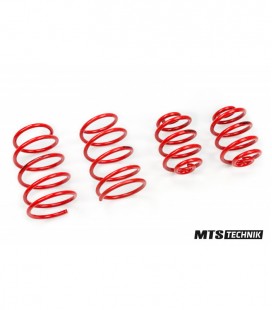 BMW 3 Series / E36 Compact 1994-2001 60/40 mm MTS Lowering Springs MTSXBM126