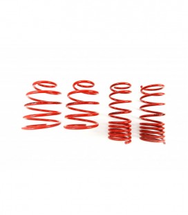 Fiat Cinquecento 1991-1998 70/50 mm MTS Lowering Springs MTSXFI056