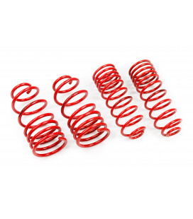 Fiat Seicento 1998-2010 30/30 mm MTS Lowering Springs MTSXFI091