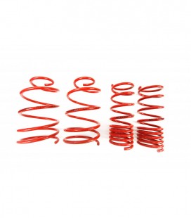 Fiat Seicento 1998- 20/20 mm MTS Lowering Springs MTSXFI055