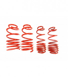 Seat Toledo II (1M2) 1999-2004 50/35 mm MTS Lowering Springs MTSXVW178