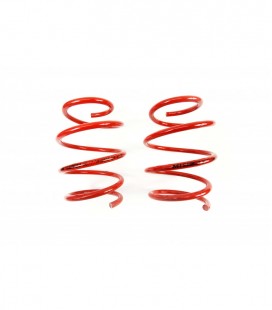 BMW 3 Series / E46 Sedan 1998- 40 mm MTS Front Spring MTSXBM130VA
