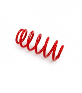 Hyundai Accent I 1997- 40 mm MTS Rear springs MTSXHY012HA