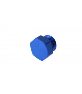 AN CAP AN6 WITH O-RING