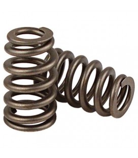 Conical valve spring MAZDA MZR FORD Duratec 2.0 - 2.3 - 2.5 L Focus Mazda 3