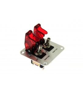 Double rally switch LED RED