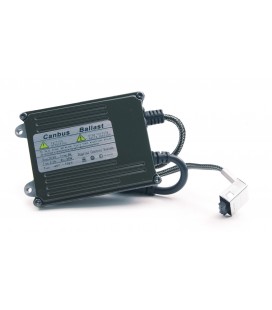 HID Converter CanBus Pro D1S