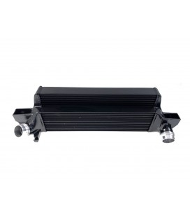 Intercooler TurboWorks MINI COOPER F54555660 105230mm