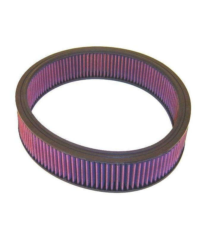 K&N Panel FilterE-2867