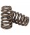 Conical valve spring FORD Ecoboost 2.3L DI - Mustang / Focus L4-2.3L Turbo