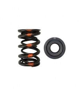 DUAL SPRING/STEEL RETAINER KIT (Honda/Acura B18A/B18B/B20B)