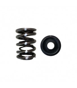 DUAL SPRING/STEEL RETAINER KIT (Honda/Acura B18C/B16A/B17A - HIGH MILEAGE STREET)