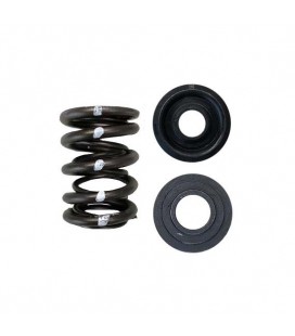 DUAL SPRING/STEEL RETAINER/SEAT KIT (Honda C30A/C32B NSX)