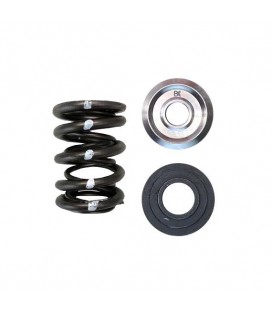DUAL SPRING/TITANIUM RETAINER/SEAT KIT (Honda C30A/C32B NSX)