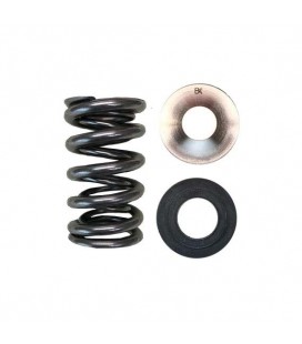DUAL SPRING/TITANIUM RETAINER/SEAT/VALVE SEAL KIT (Mitsubishi 4G63/Evo)