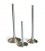 Exhaust valve MAZDA MZR/FORD Duratec 2.0/2.3/2.5L/Focus/Mazda 3