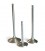 Exhaust valve NISSAN GT-R 3.8 L V-6 - DOHC 24 VALVE (VR38DETT) - 2009-2010