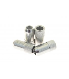 Racing lug nuts D1Spec HEX Alu 1.25 silver