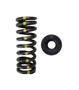 SINGLE SPRING/STEEL RETAINER KIT (Honda D16Y8/D16Z6)