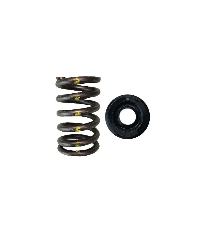 SINGLE SPRING/STEEL RETAINER KIT (Toyota 2JZGTE/Lexus 2JZGE)