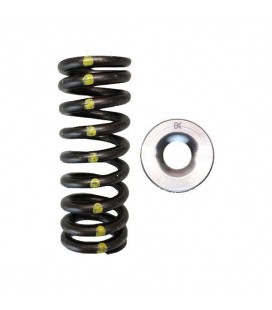 SINGLE SPRING/TITANIUM RETAINER KIT (Honda D16Y8/D16Z6)