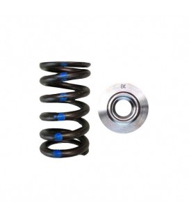 SINGLE SPRING/TITANIUM RETAINER KIT (Nissan RB26DETT)