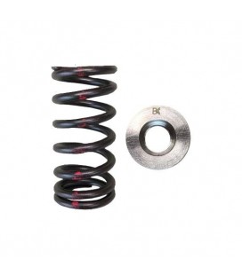 SINGLE SPRING/TITANIUM RETAINER KIT (Toyota 1NZFE)