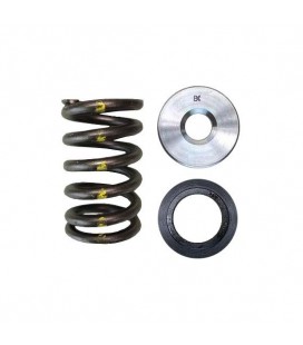 SINGLE SPRING/TITANIUM RETAINER/SEAT KIT (Scion 2AZ-FE)