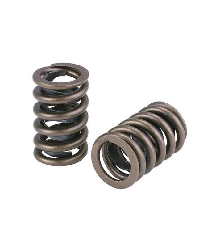 Valve spring VW 1.8T AEB / 2.7T 5v/cyl / VW / Audi / SEAT