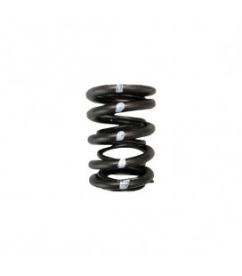 VALVE SPRINGS - DUAL (Honda/Acura B18C/B16A/B17A, Nissan KA24DE)