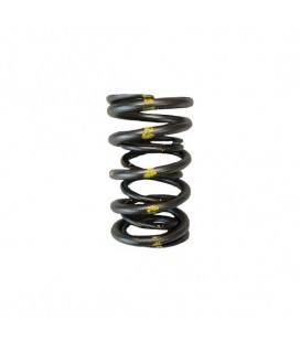 VALVE SPRINGS - DUAL (Honda/Acura K20A2/K20A/K24A2/F20C1/F22C1)