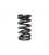 VALVE SPRINGS - DUAL for HIGH LIFT CAMS(Honda/Acura K20A2/K20A/K24A2/F20C1/F22C1)