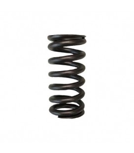 VALVE SPRINGS - SINGLE (Honda L15)