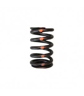 VALVE SPRINGS - SINGLE (Subaru EJ205-WRX / EJ257-STi)