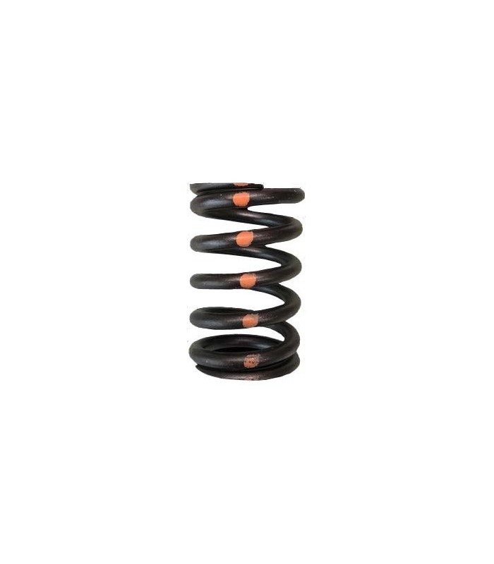 VALVE SPRINGS - SINGLE (Toyota 2JZGTE/Lexus 2JZGE)