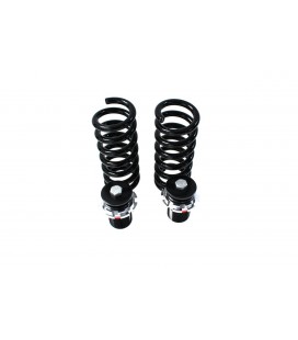 Suspension Street D2 Racing BMW F20 46CYL  CYL (excl.M-Technik.xDrive & EDC) 10+