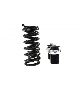 Suspension Street D2 Racing BMW F30 46 CYL  CYL (excl.M-Technik.xDrive & EDC) 11+