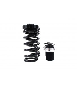 Suspension Street D2 Racing BMW F31 46CYL  CYL (excl.M-Technik.xDrive & EDC) 11+