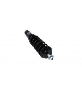 Suspension Street D2 Racing MINI COOPER (R50) 01-06