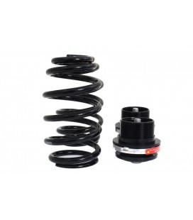 Coiloveriai D2 Racing Street VOLKSWAGEN GOLF 4 (2WD) 50mm 98-03