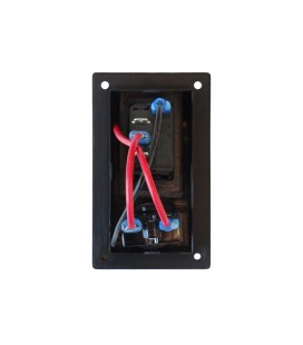 Switch ON-OFF-(ON), 1BA 10A