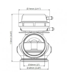 Turbosmart Išorinis Wastegate 50MM 1,0 Bar Pro-Gate Lite (juodas)