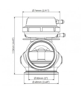 Turbosmart Wastegate Progate Lite 50MM 0,5 Bar
