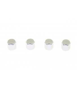 Valve cap D1Spec D1S035 Silver