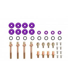 Vožtuvų dangtelio veržlių/varžtelių komplektas B-Series JDM Purple