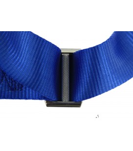 Racing seat belts 4p 2" Blue - Pro Sport