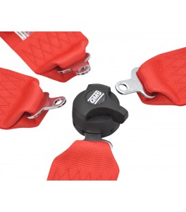 QMS 4-point FIA safety belts
