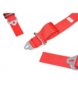QMS 6-point FIA seat belts