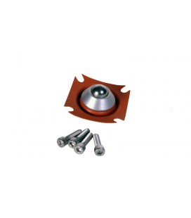 Aeromotive Diaphragm Repair Kit - A2000 Fuel Pump